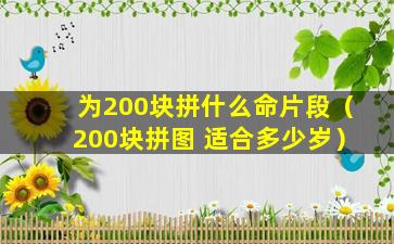 为200块拼什么命片段（200块拼图 适合多少岁）